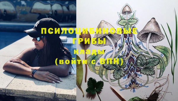 ешки Алексеевка