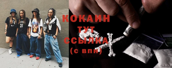крисы Алзамай
