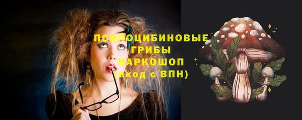 амф Алексин