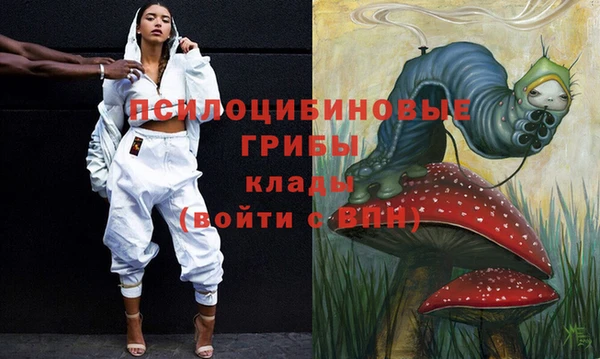 крисы Алзамай