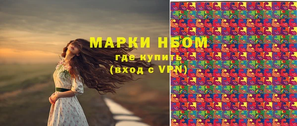 крисы Алзамай