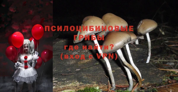 амф Алексин