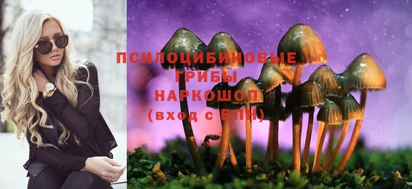 крисы Алзамай