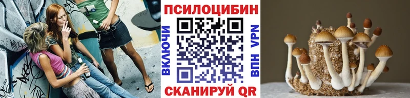 Галлюциногенные грибы мицелий  Карабулак 